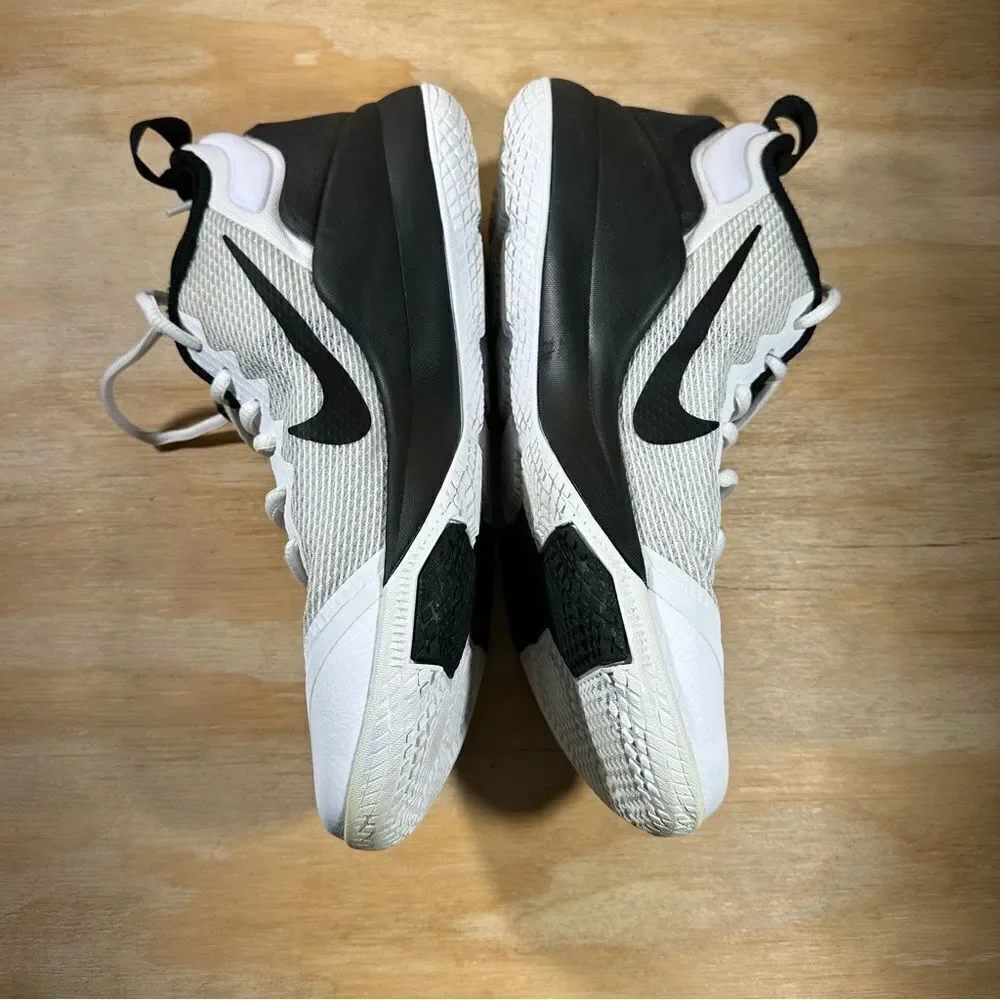 Nike lebron men